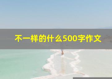 不一样的什么500字作文