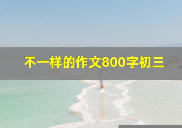 不一样的作文800字初三