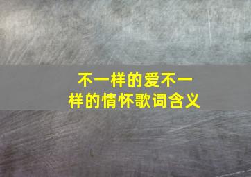 不一样的爱不一样的情怀歌词含义