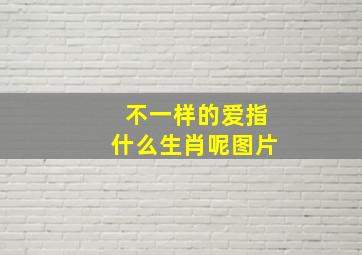 不一样的爱指什么生肖呢图片