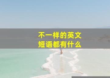 不一样的英文短语都有什么