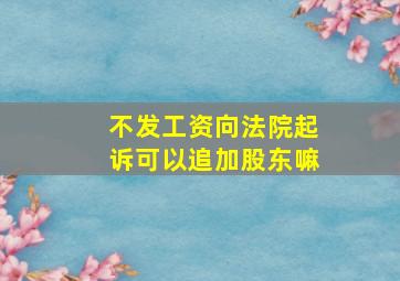 不发工资向法院起诉可以追加股东嘛