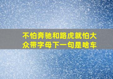 不怕奔驰和路虎就怕大众带字母下一句是啥车