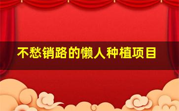 不愁销路的懒人种植项目