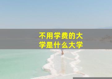 不用学费的大学是什么大学