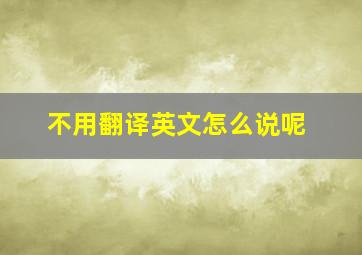 不用翻译英文怎么说呢