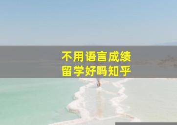 不用语言成绩留学好吗知乎