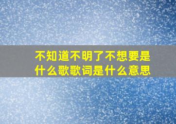 不知道不明了不想要是什么歌歌词是什么意思