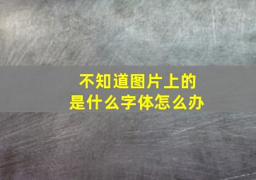 不知道图片上的是什么字体怎么办