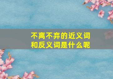 不离不弃的近义词和反义词是什么呢