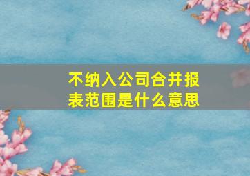 不纳入公司合并报表范围是什么意思