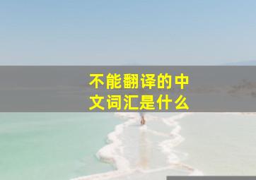 不能翻译的中文词汇是什么