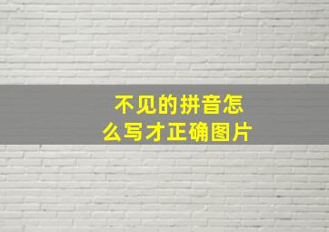 不见的拼音怎么写才正确图片