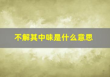 不解其中味是什么意思