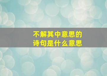 不解其中意思的诗句是什么意思