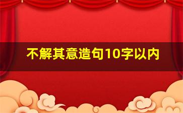 不解其意造句10字以内