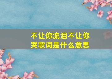 不让你流泪不让你哭歌词是什么意思