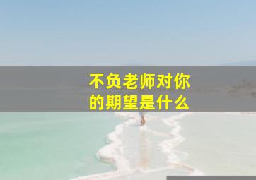 不负老师对你的期望是什么