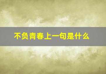 不负青春上一句是什么