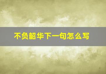 不负韶华下一句怎么写