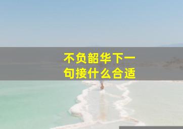 不负韶华下一句接什么合适