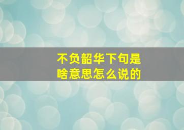 不负韶华下句是啥意思怎么说的