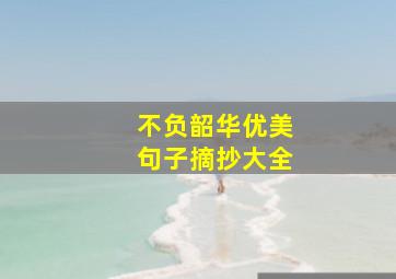 不负韶华优美句子摘抄大全