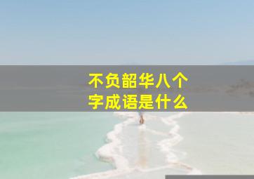 不负韶华八个字成语是什么