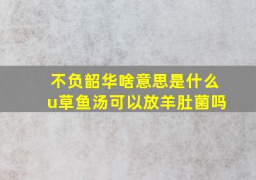 不负韶华啥意思是什么u草鱼汤可以放羊肚菌吗