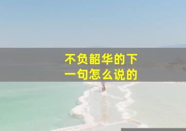 不负韶华的下一句怎么说的