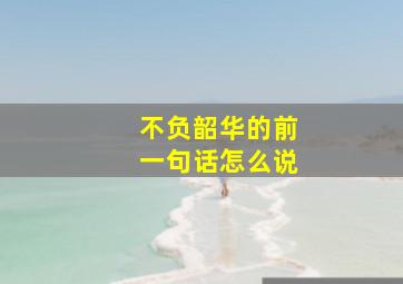 不负韶华的前一句话怎么说