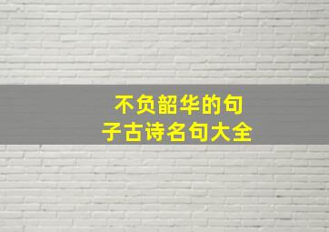 不负韶华的句子古诗名句大全