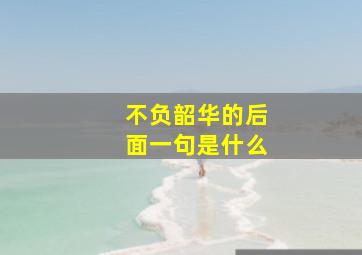 不负韶华的后面一句是什么