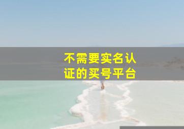 不需要实名认证的买号平台