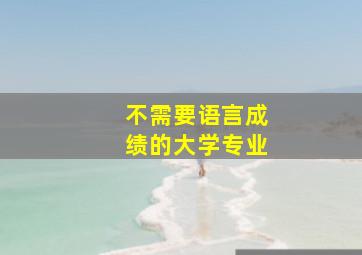 不需要语言成绩的大学专业