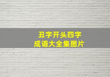 丑字开头四字成语大全集图片