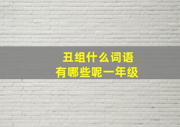 丑组什么词语有哪些呢一年级