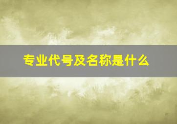 专业代号及名称是什么