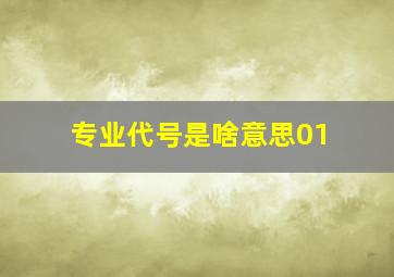 专业代号是啥意思01