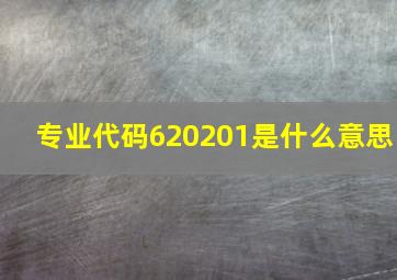 专业代码620201是什么意思