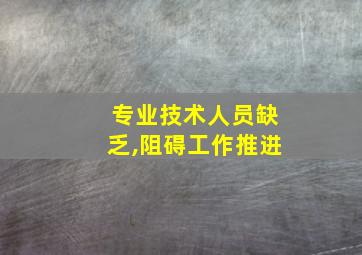 专业技术人员缺乏,阻碍工作推进