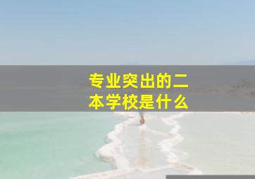 专业突出的二本学校是什么