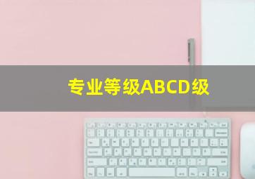 专业等级ABCD级