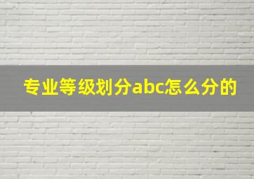 专业等级划分abc怎么分的