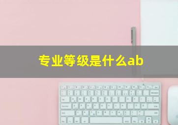 专业等级是什么ab