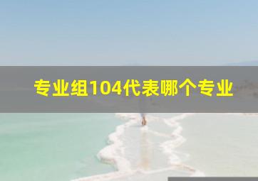 专业组104代表哪个专业