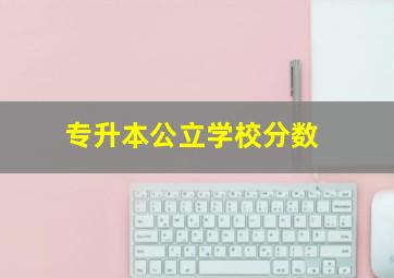 专升本公立学校分数