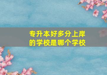 专升本好多分上岸的学校是哪个学校