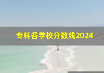 专科各学校分数线2024