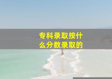 专科录取按什么分数录取的